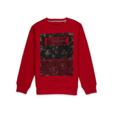 printed sweatshirt for boys